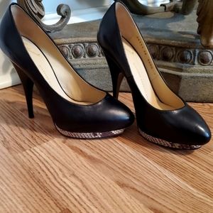 Giuseppe Zanotti Snakeskin Platform